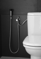 CONJUNTO HIGIENICO WC-BIDE BORRAS