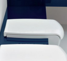 ASIENTO y TAPA INODORO UNA FLAMINIA